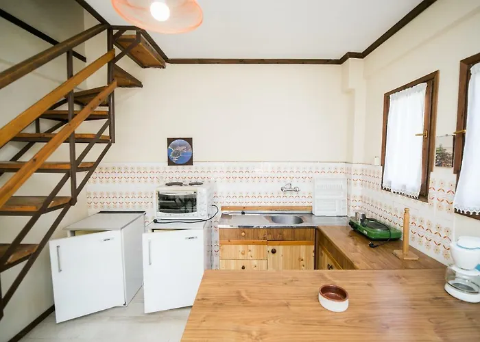 Ξενοδοχείο με διαμερίσματα μαγγάνι 2*